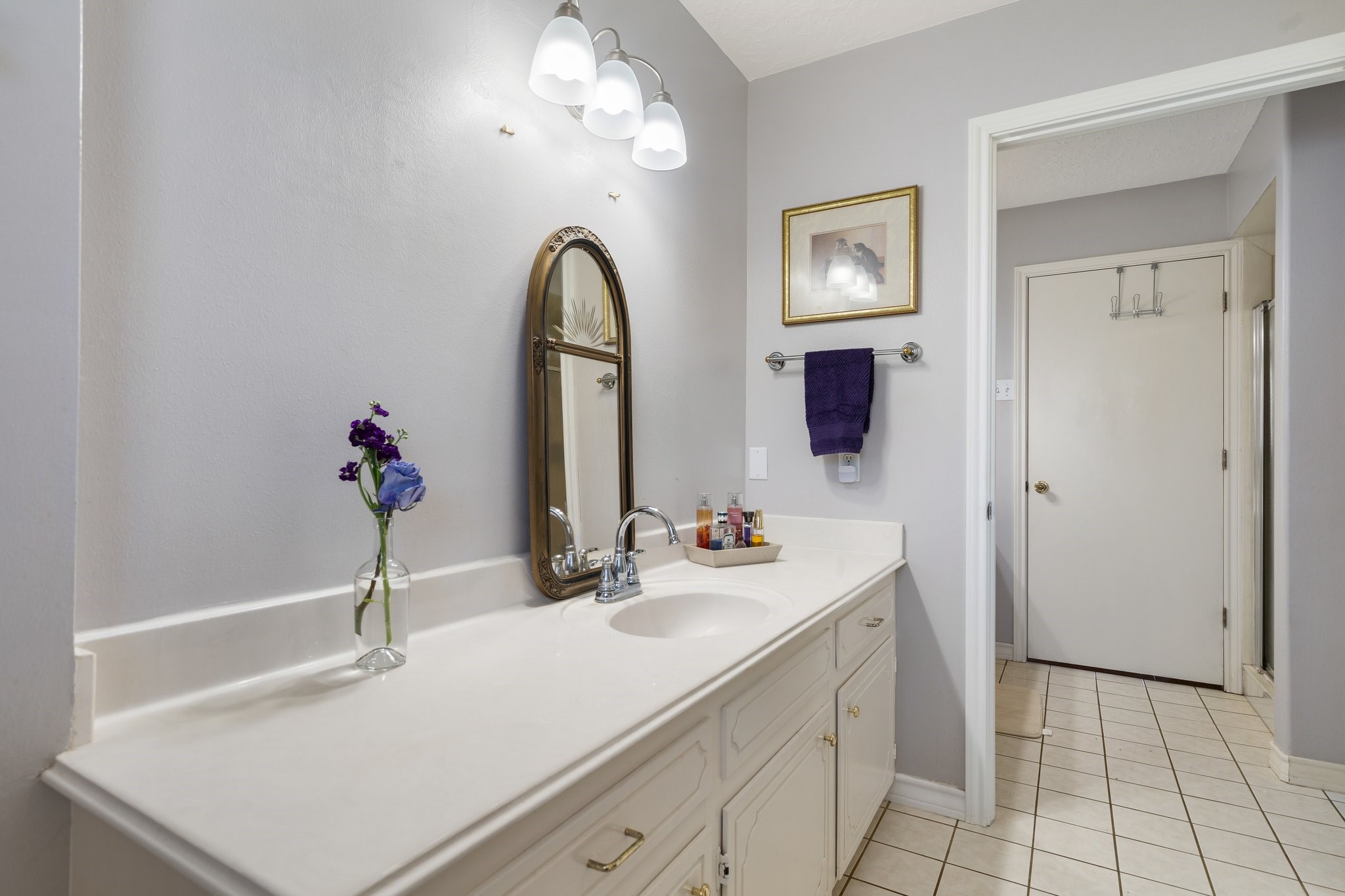 12156 Crockett Martin Road Conroe, TX 77306 - Photo 28 of 45 a bathroom with a sink vanity and a mirror