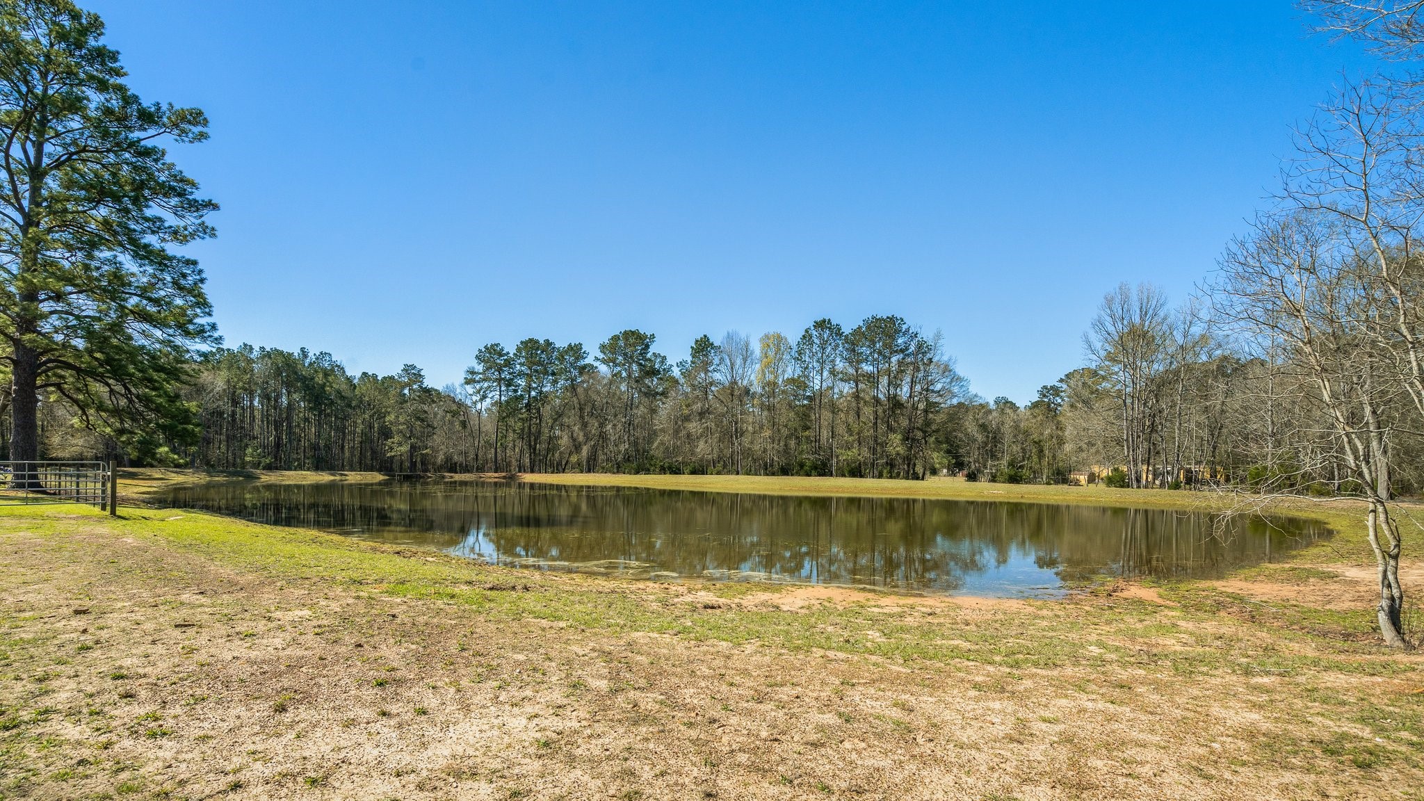 12156 Crockett Martin Road Conroe, TX 77306 - Photo 36 of 45 a view of a lake with houses in the back