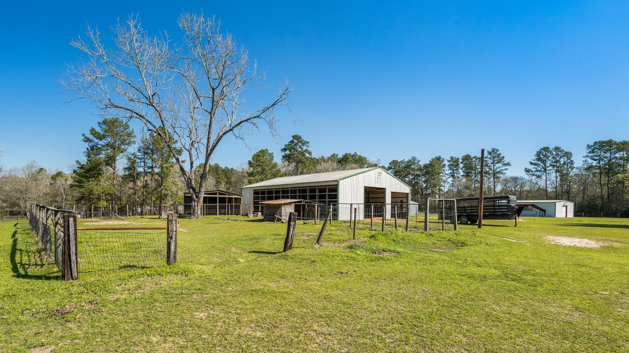 12156 Crockett Martin Road Conroe, TX 77306 - Photo 44 of 45 a view of a house with a yard