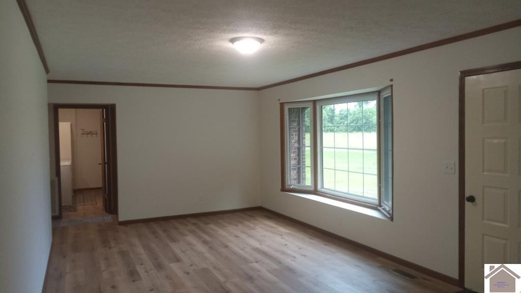 824 County Farm Road Wickliffe, KY 42087 - Photo 5 of 19 Photo 5