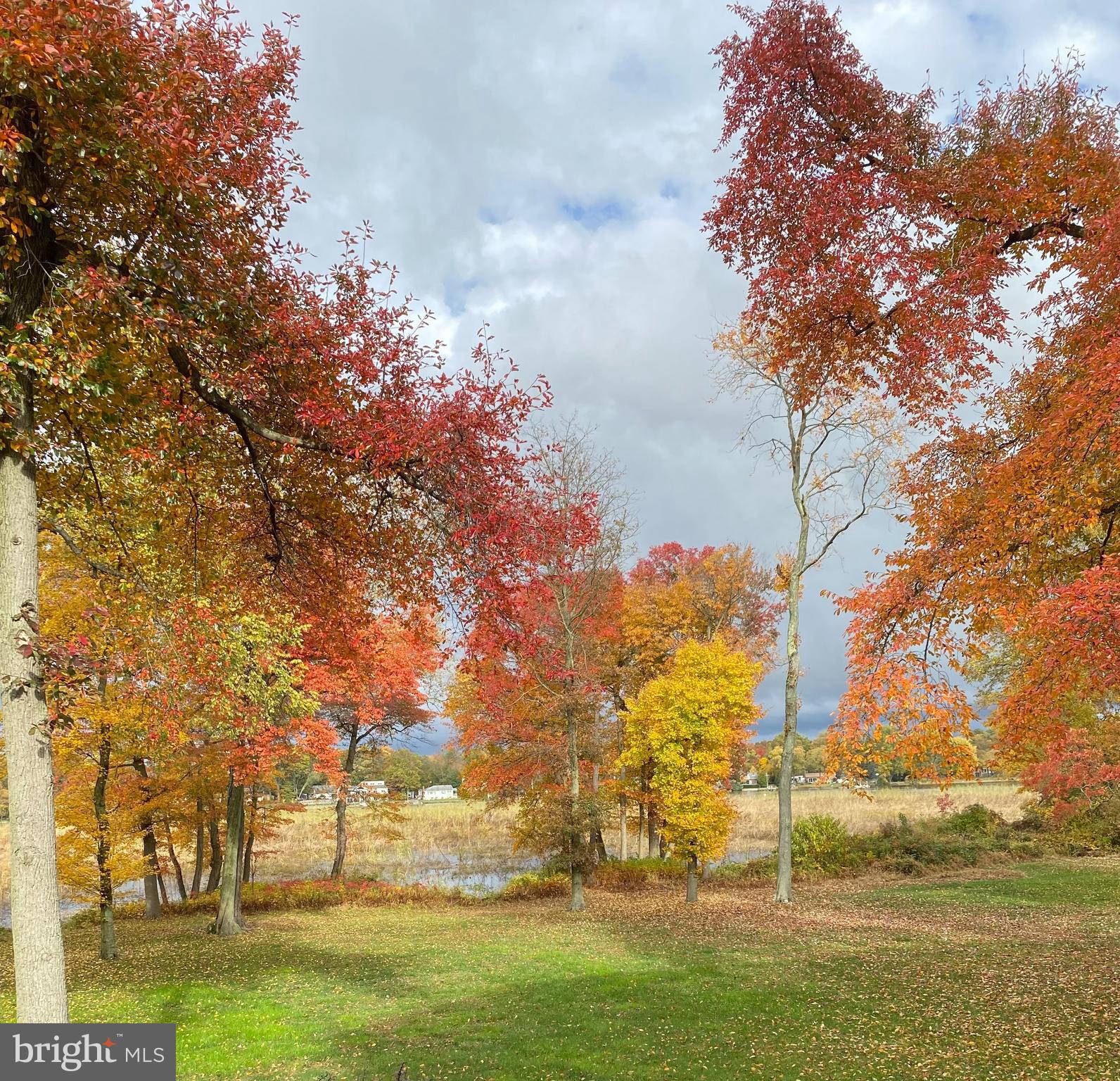 34 Cove Road Moorestown, NJ 08057 - Photo 10 of 80