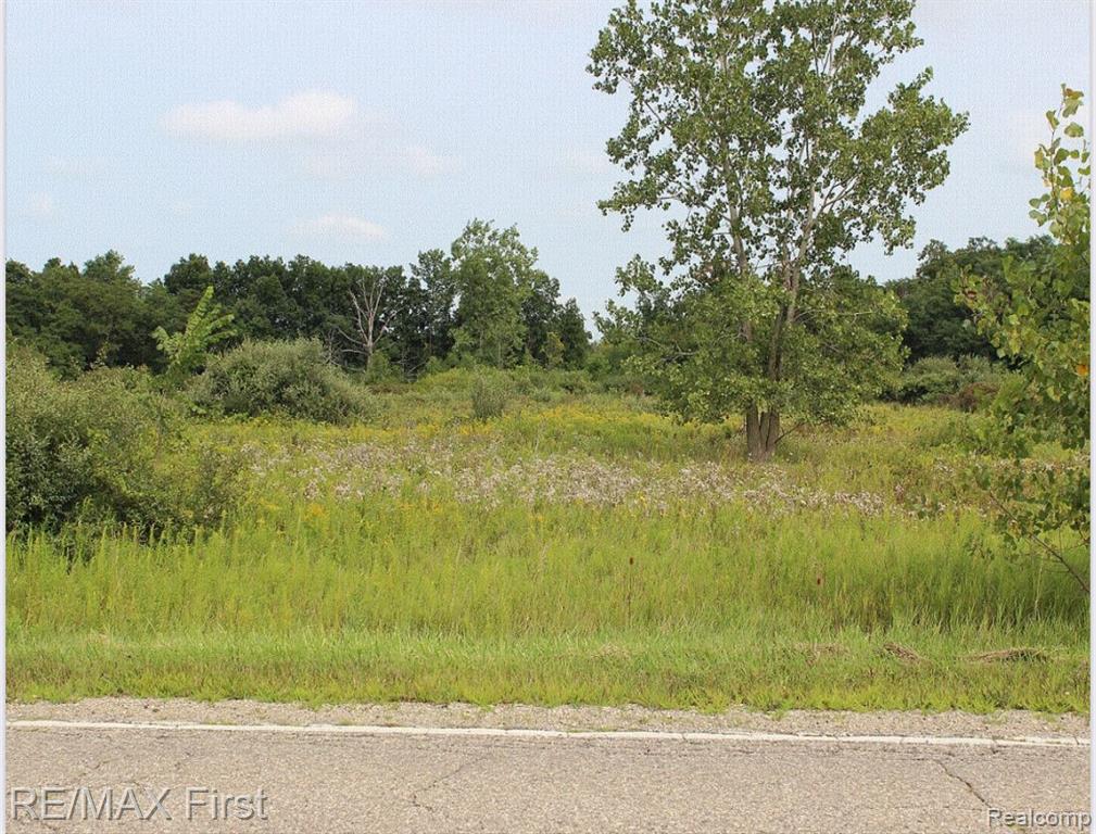 0 Brown City Road Imlay City, MI 48444 - Photo 1 of 6 Gallery Image 1