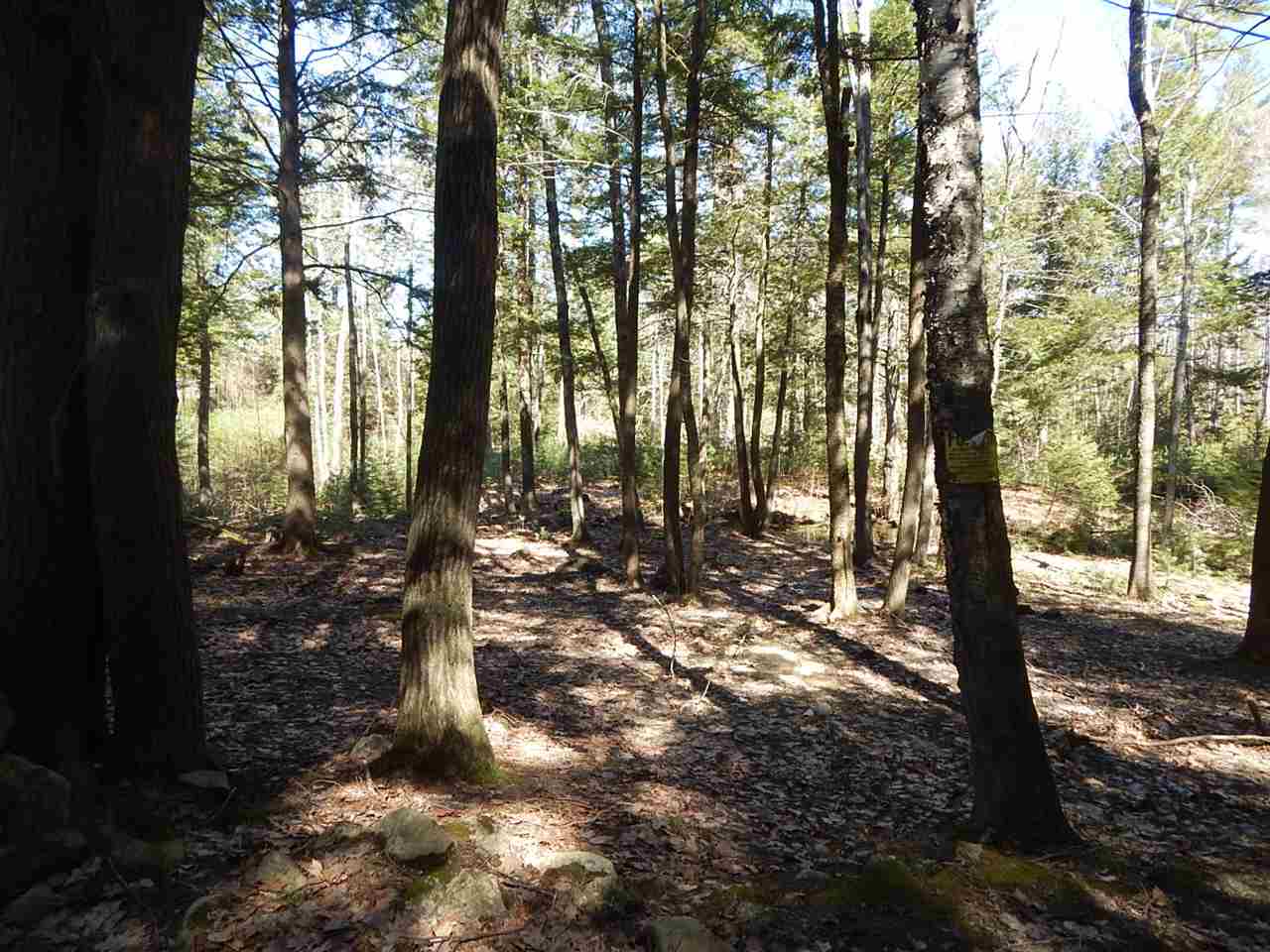 Candia Road, Unit 80 5 Deerfield, NH 03037 - Photo 4 of 8