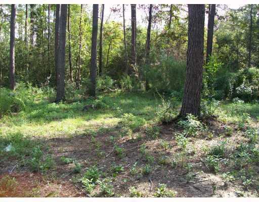21127 Firetower Road Mandeville, LA 70471 - Photo 1 of 1 Gallery Image 1
