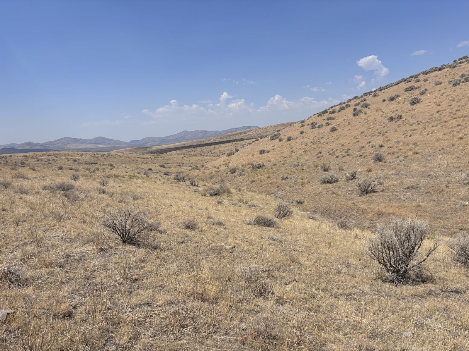 40 North Rge Mdb&m Wells Wells, NV 89835 - Photo 4 of 18