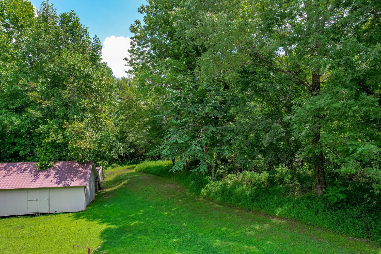 415 French Hill Road Tennessee Ridge, TN 37178 - Photo 4 of 48 a view of a backyard with a garden