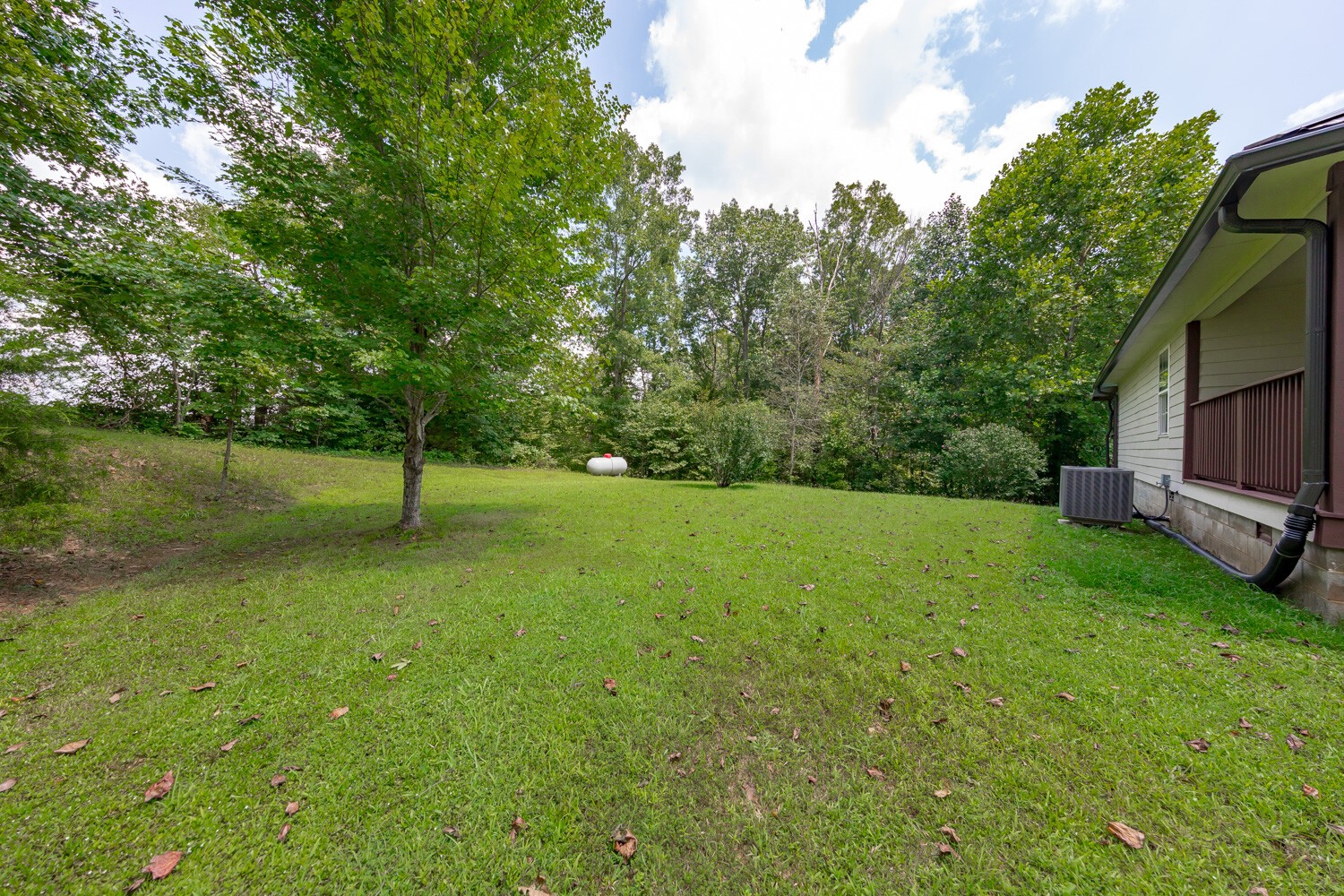 415 French Hill Road Tennessee Ridge, TN 37178 - Photo 40 of 48 a view of a backyard with large trees