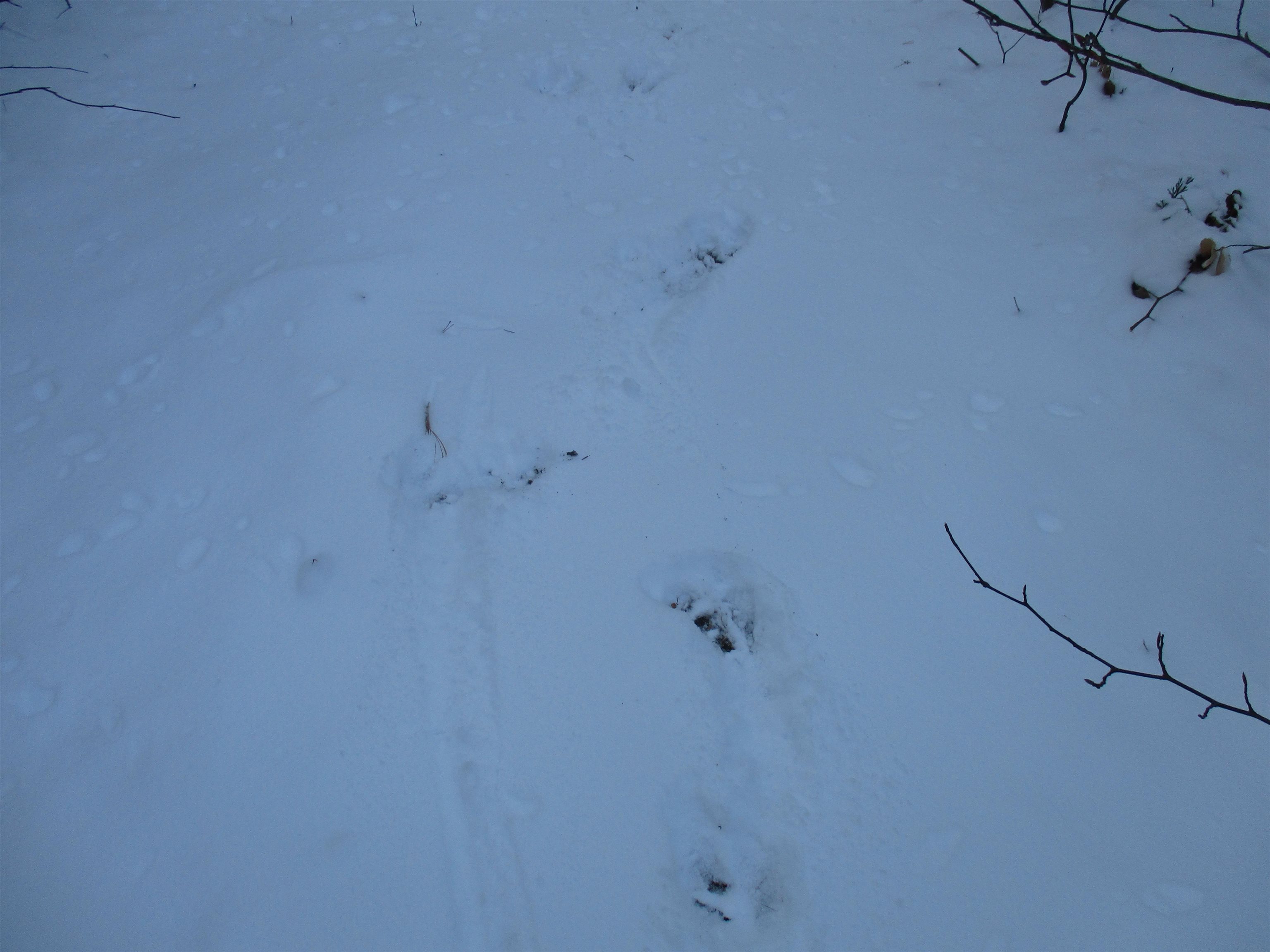 R9-71 Gulf Road Greenfield, NH 03047 - Photo 8 of 12