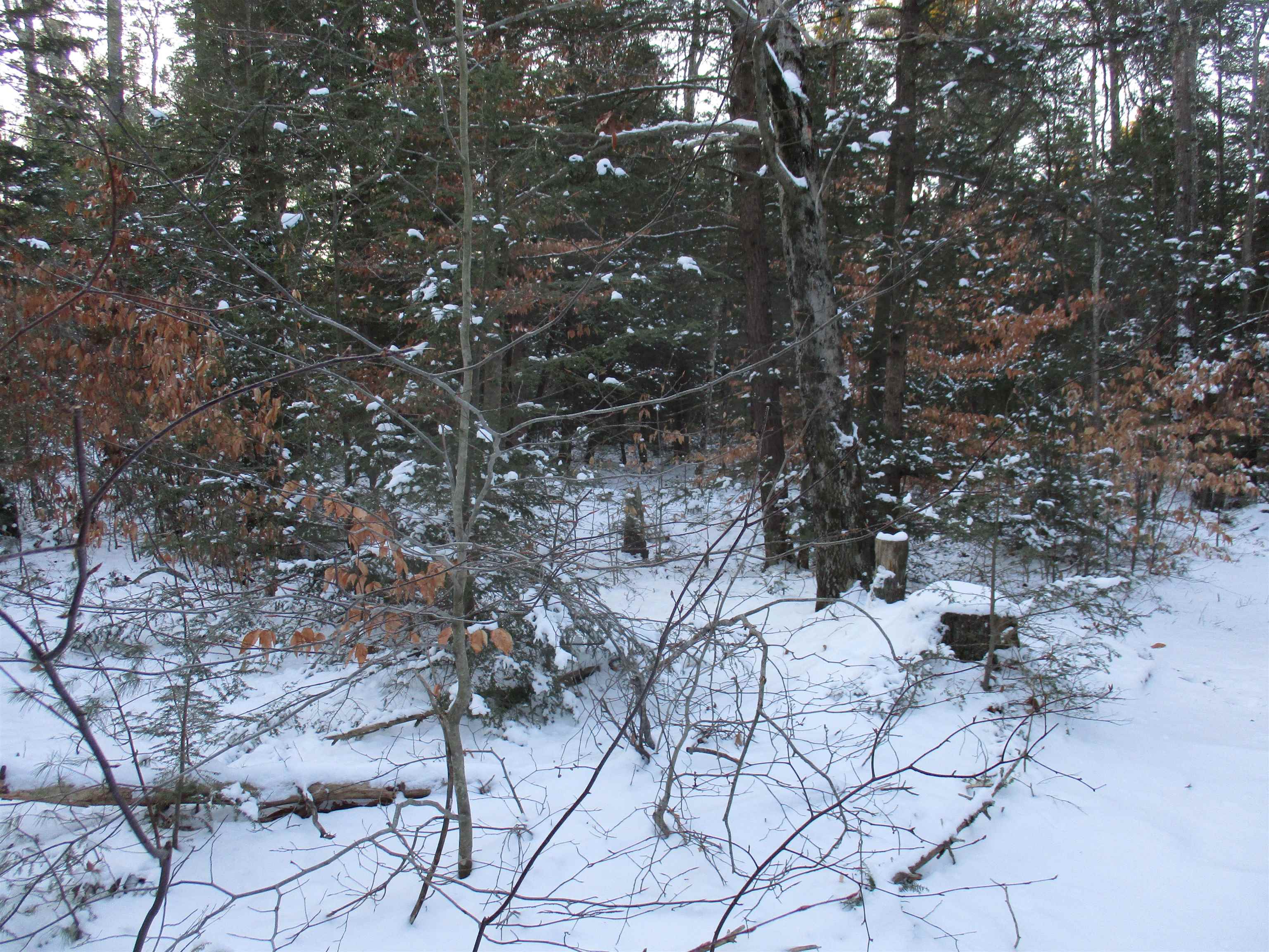 R9-71 Gulf Road Greenfield, NH 03047 - Photo 10 of 12