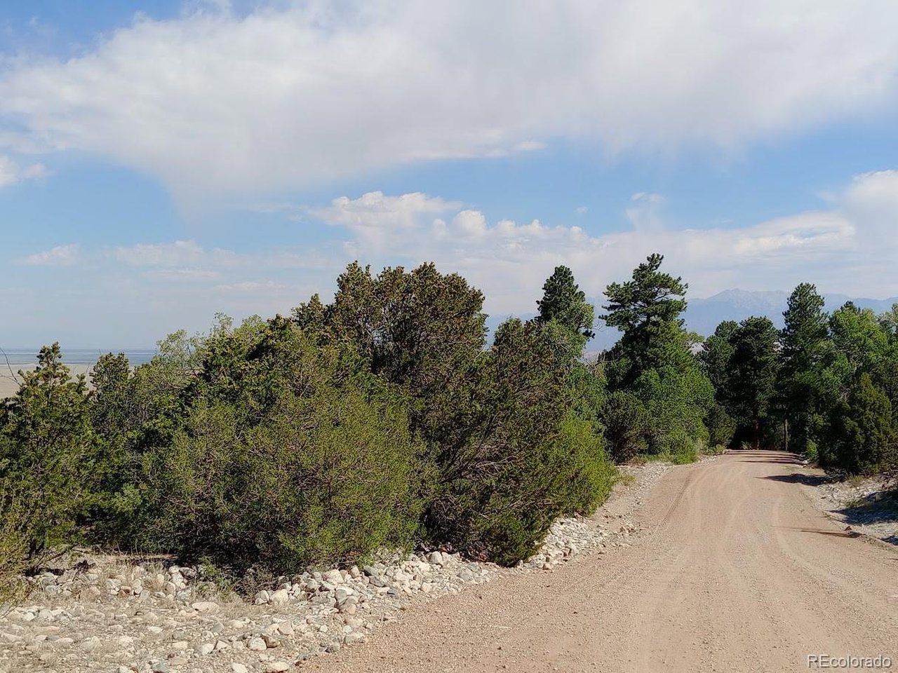 210 Big Bear Road Mosca, CO 81146 - Photo 4 of 10