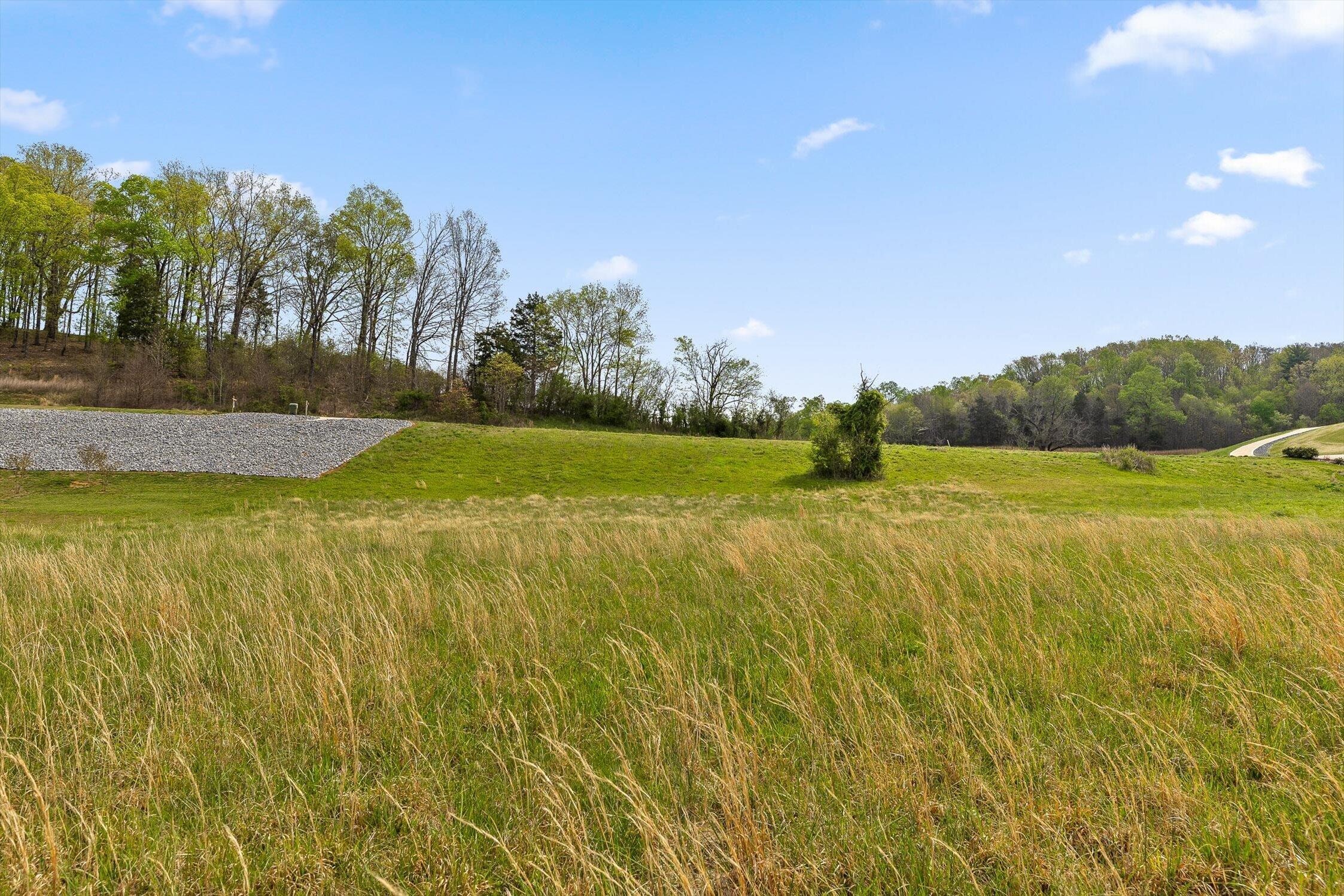 Lot 66 Espalier Drive Decatur, TN 37322 - Photo 24 of 38 15-Espalier Lot 66-15