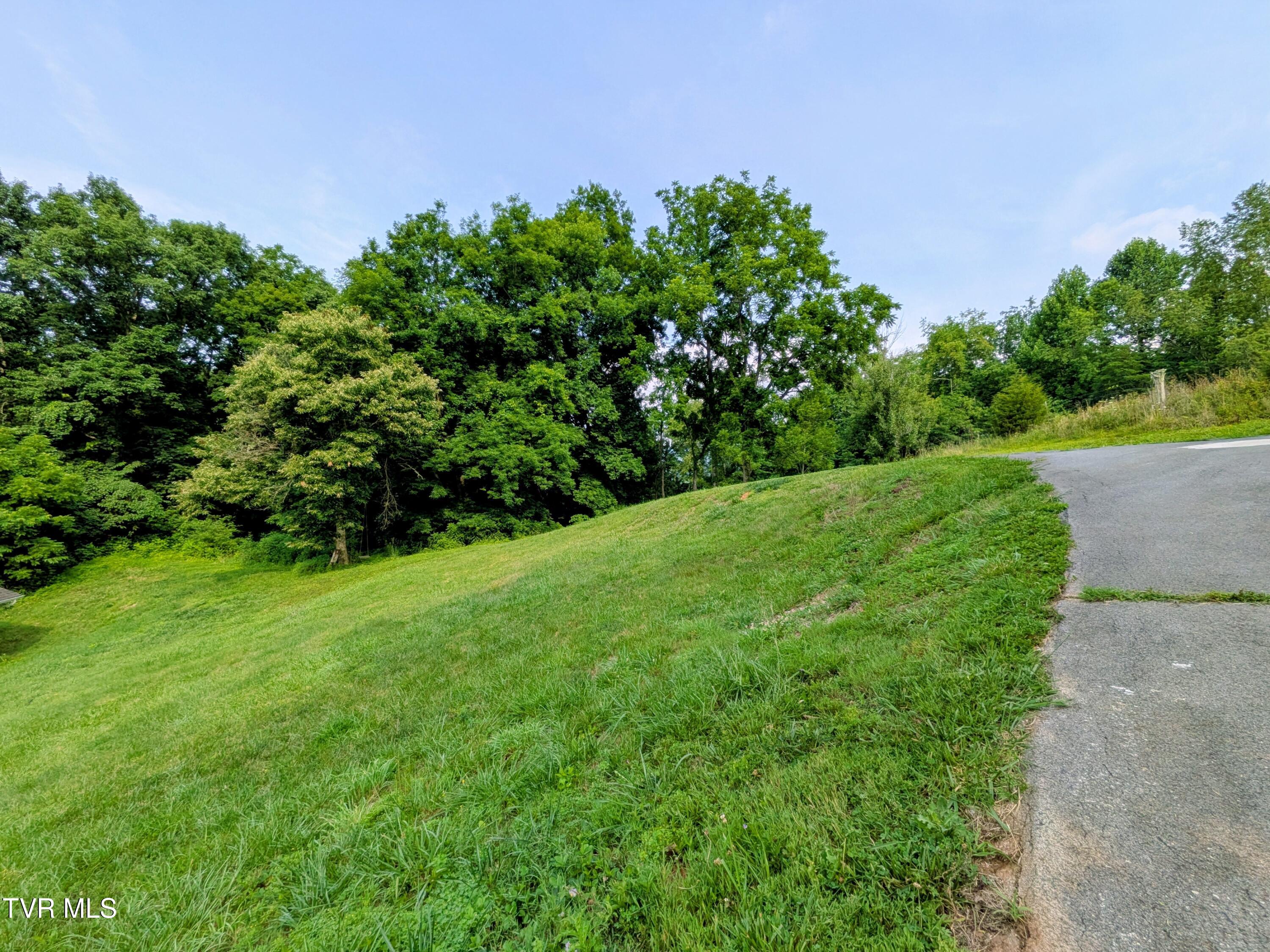 113 Nave Hollow Road Elizabethton, TN 37643 - Photo 82 of 91 Property(1)