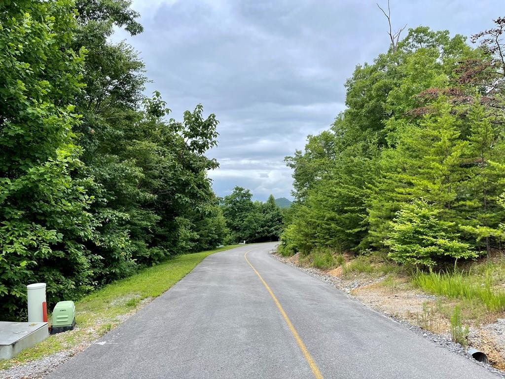 47 Harvest Moon Road Sevierville, TN 37862 - Photo 1 of 9