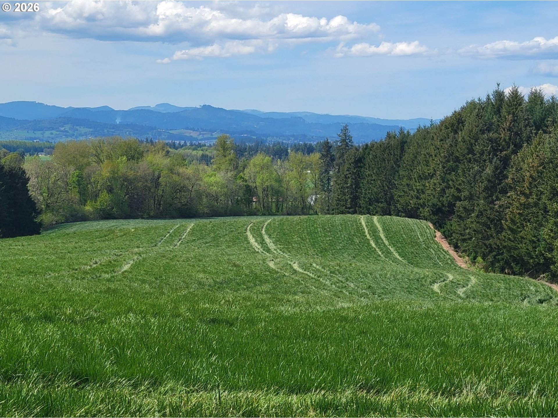 7734 Southeast Starr Quarry Road Amity, OR 97101 - Photo 46 of 48