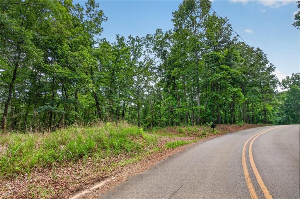 2022 Pleasant Union Road Canton, GA 30114 - Photo 11 of 17