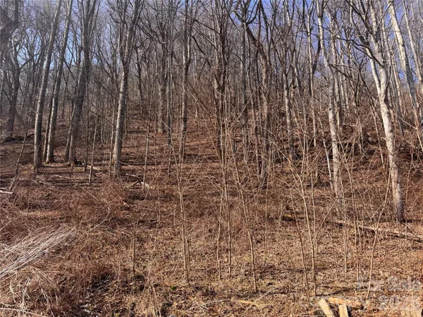 a view of empty room with large trees