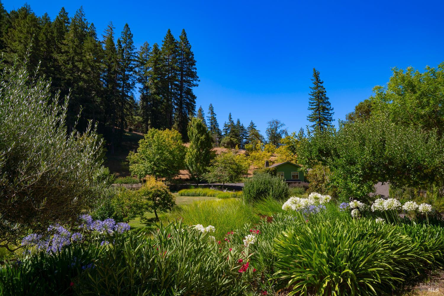 20205 Tumbling McD Road Philo, CA 95466 - Photo 31 of 78