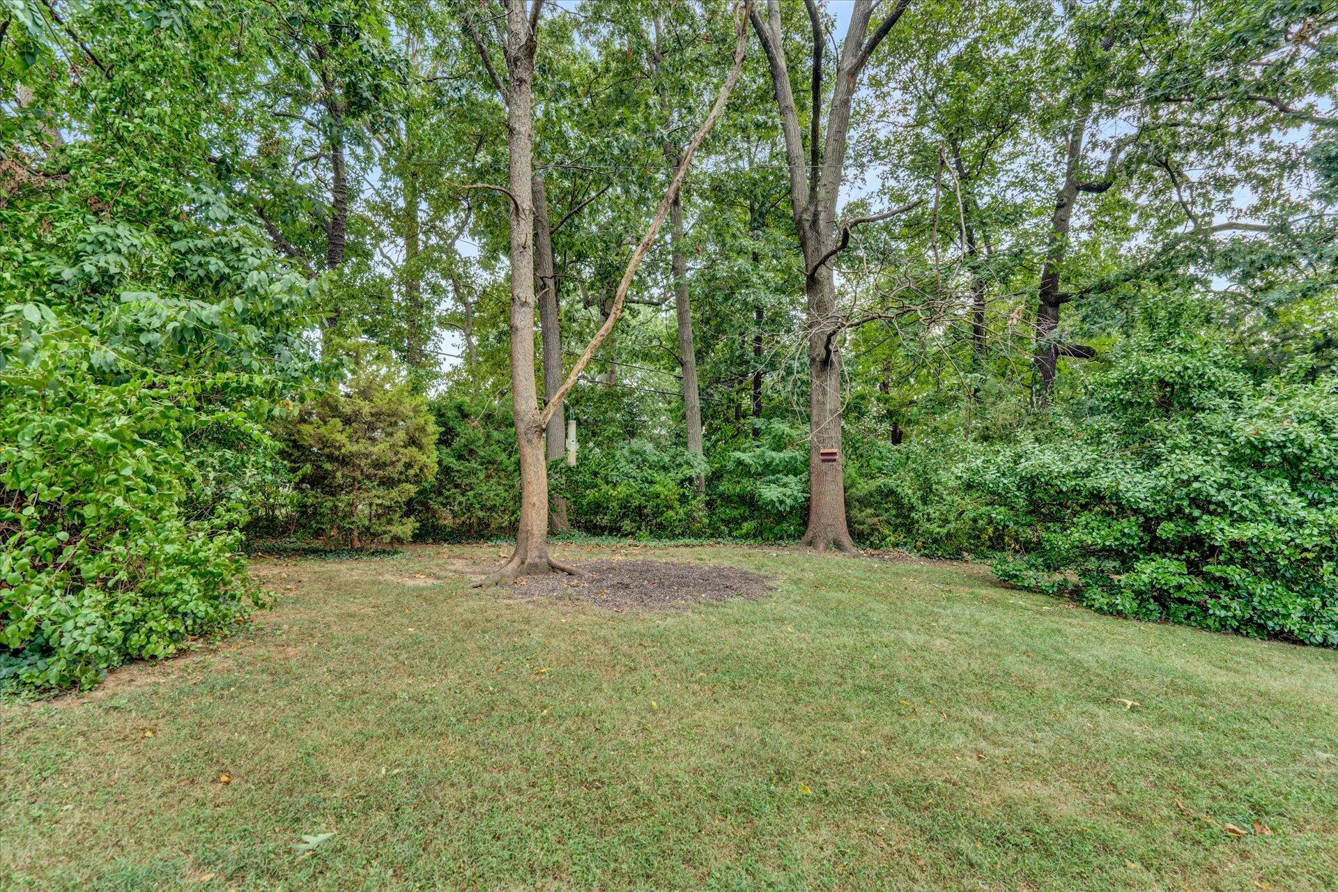 101 Frontier Road Northeast Roanoke, VA 24012 - Photo 5 of 27 05-DSC4722