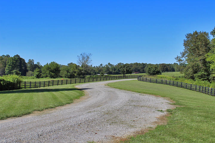 859 Rumbo Road Jamestown, KY 42629 - Photo 33 of 186 33