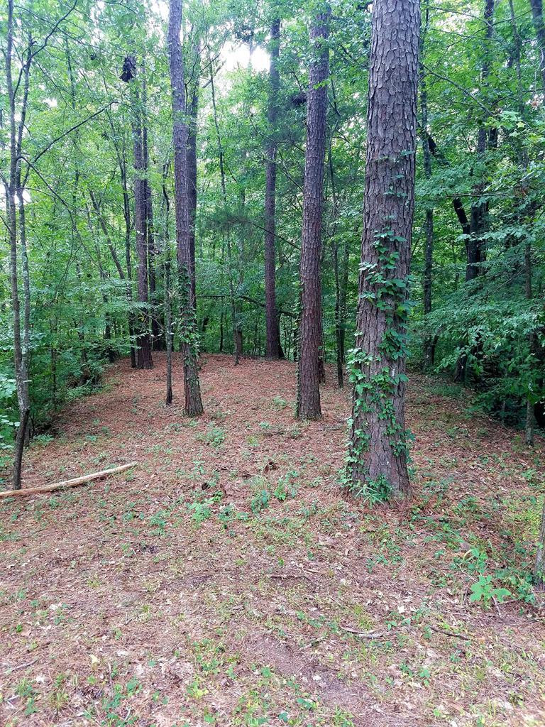 41 Shadyhaven Road Roxie, MS 39661 - Photo 2 of 12 Photo 2