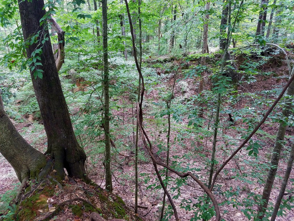 41 Shadyhaven Road Roxie, MS 39661 - Photo 6 of 12 Photo 6