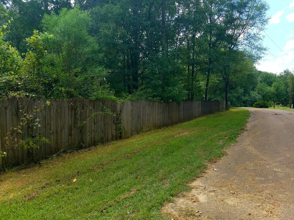 41 Shadyhaven Road Roxie, MS 39661 - Photo 10 of 12 Photo 10