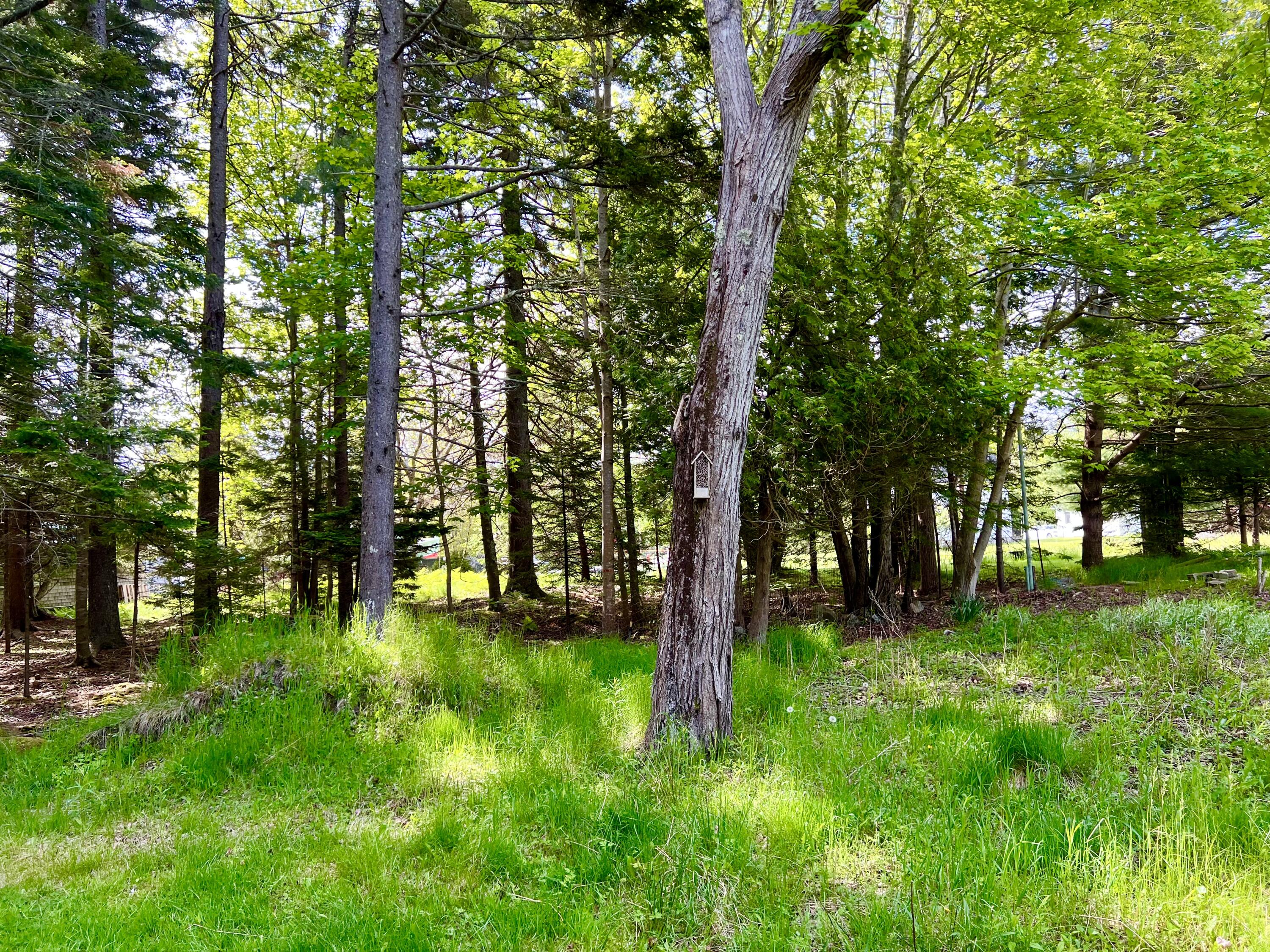 4 Long Pond Road Southwest Harbor, ME 04679 - Photo 31 of 35