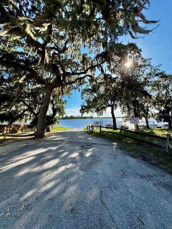 14365 Northeast 252nd Ct Road, Unit 123 Salt Springs, FL 32134 - Photo 29 of 44 a view of yard along with trees