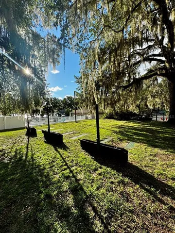a view of a park with large trees