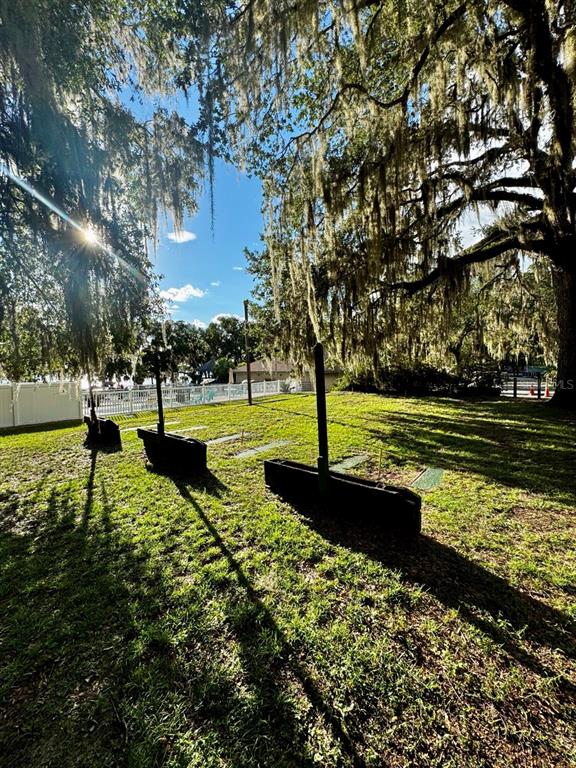 14365 Northeast 252nd Ct Road, Unit 123 Salt Springs, FL 32134 - Photo 37 of 44 a view of a park with large trees