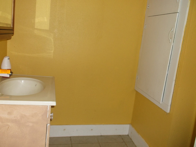 413 North 1851st Road Tonica, IL 61370 - Photo 4 of 12 a bathroom with a sink and a mirror