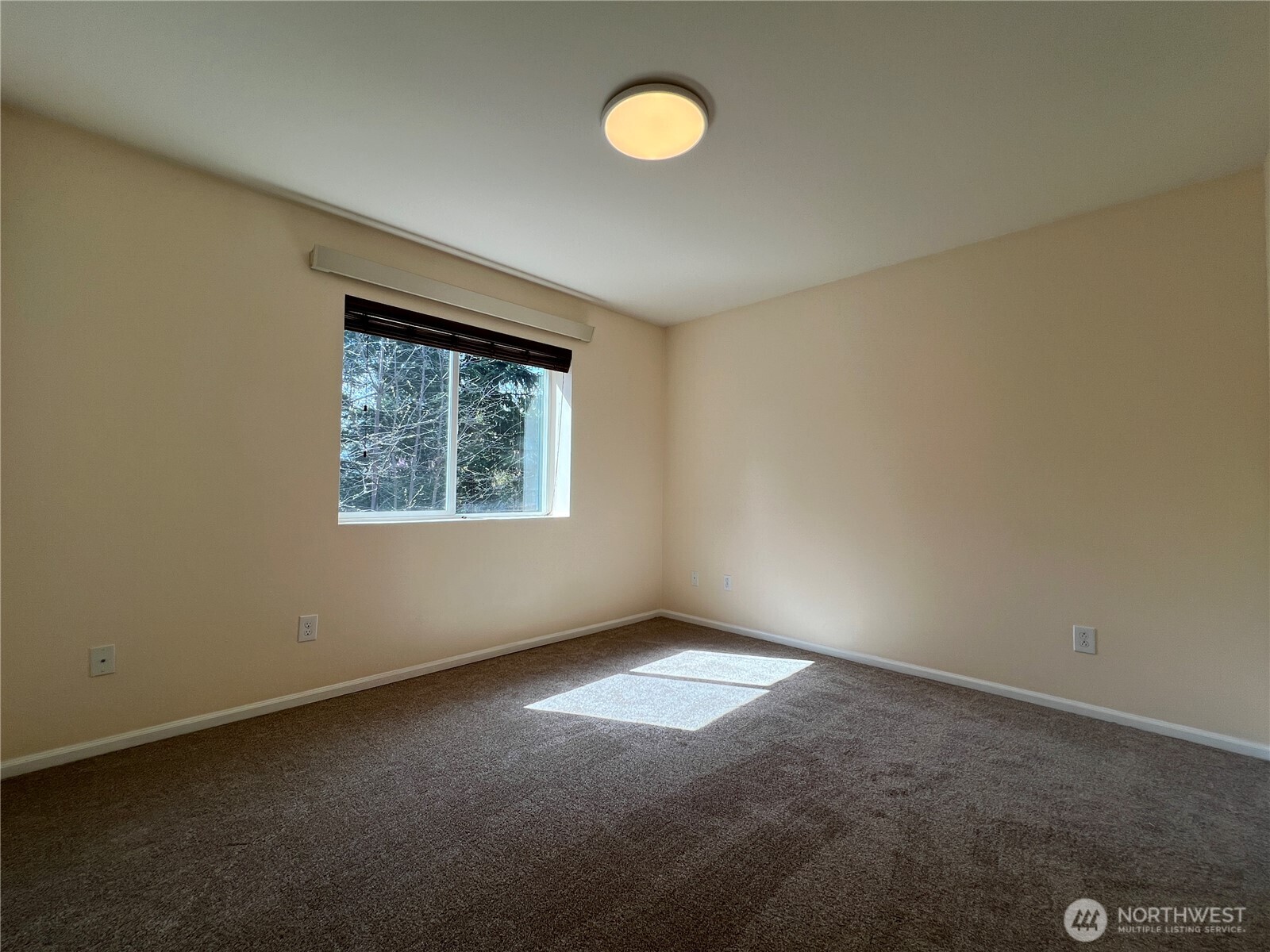 5447 57th Loop Southeast Lacey, WA 98503 - Photo 20 of 31