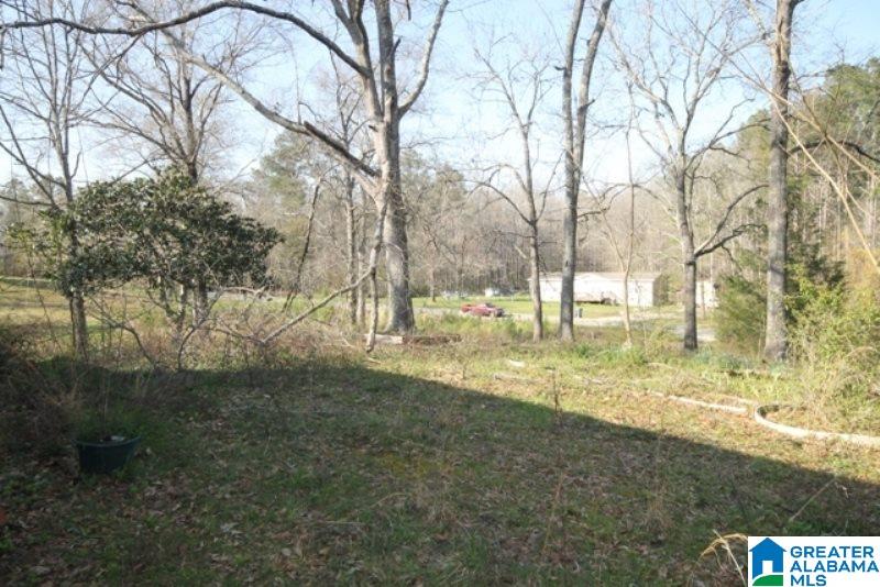 3590 Post Oak Road Jacksonville, AL 36265 - Photo 4 of 11