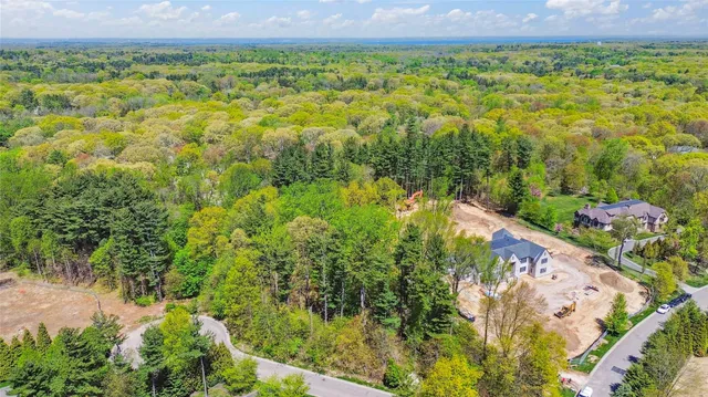 a view of a garden with plants