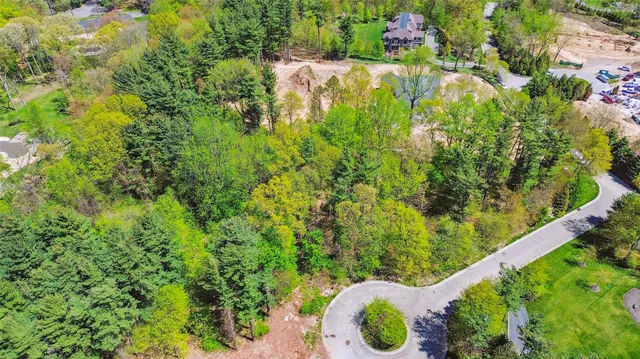 a view of a garden with an outdoor space