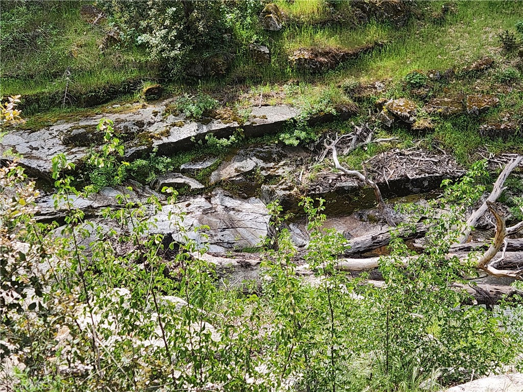 1977 Big Ridge Road Berry Creek, CA 95916 - Photo 12 of 14