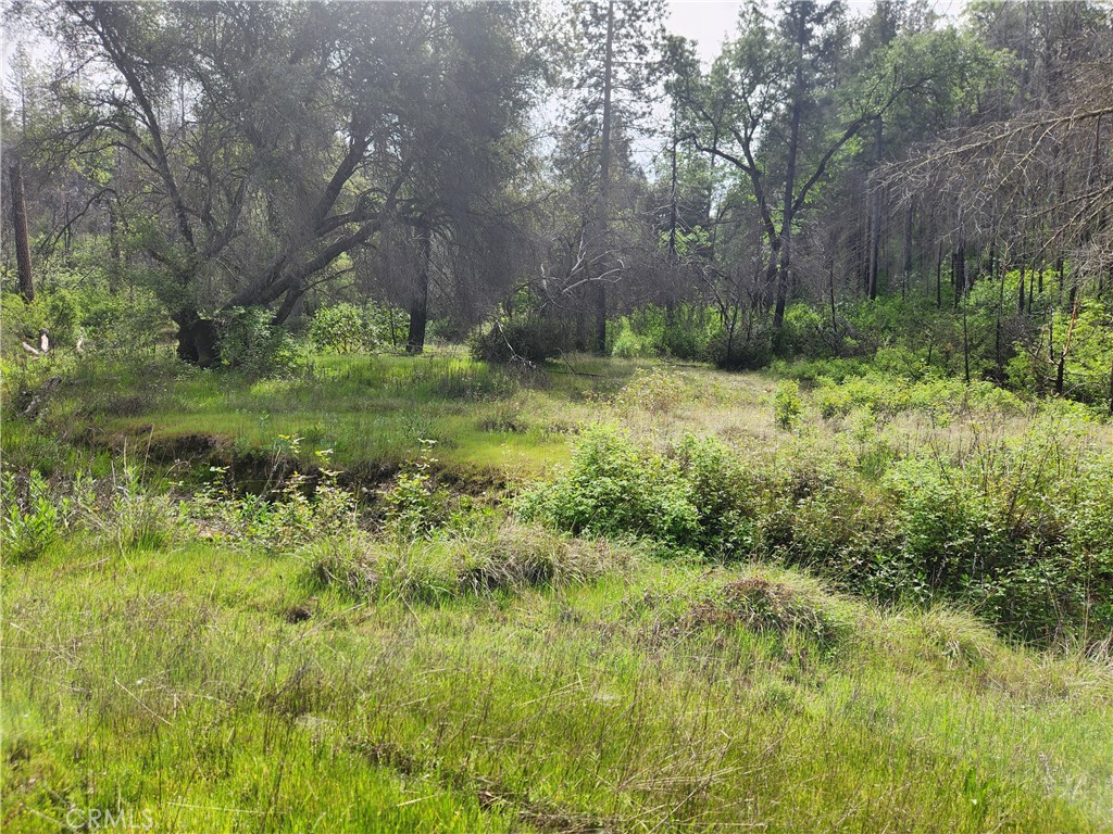 1977 Big Ridge Road Berry Creek, CA 95916 - Photo 13 of 14