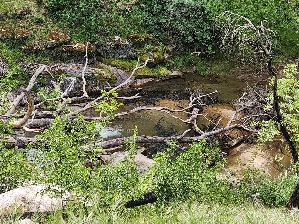 1977 Big Ridge Road Berry Creek, CA 95916 - Photo 14 of 14