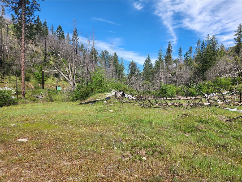 1977 Big Ridge Road Berry Creek, CA 95916 - Photo 2 of 14