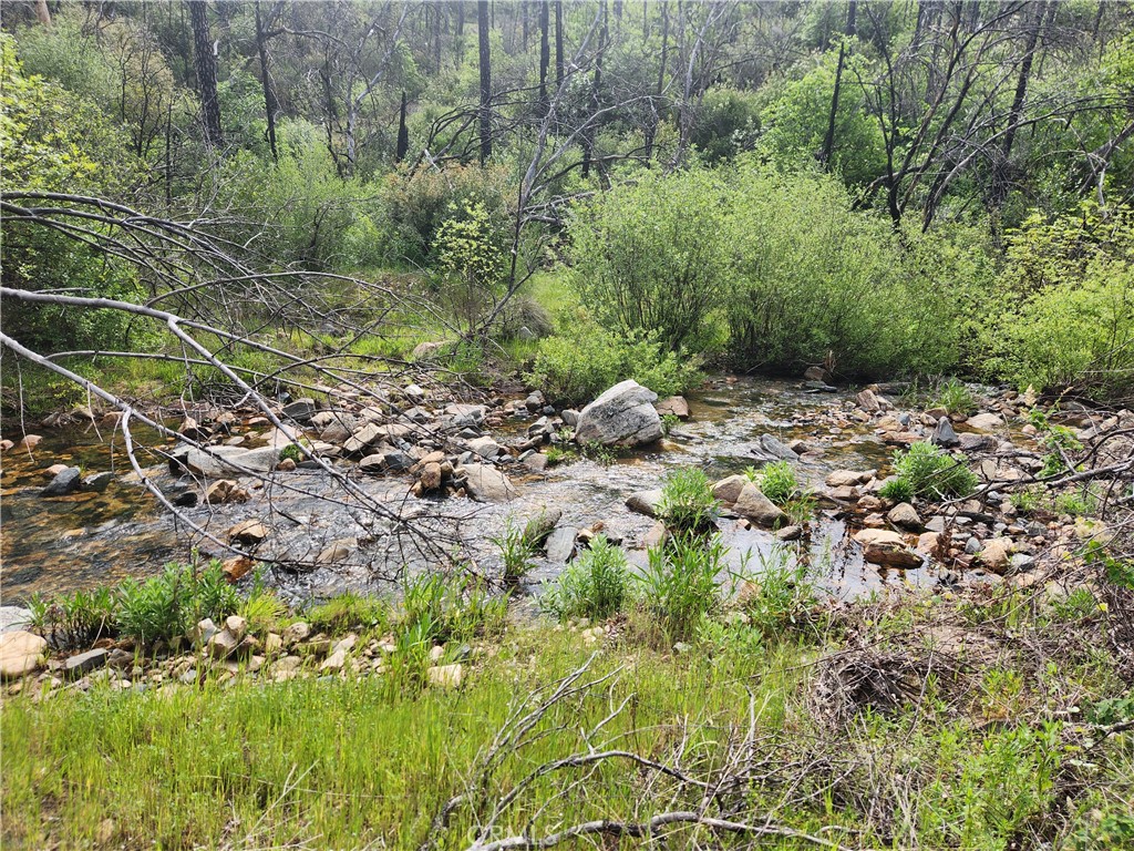 1977 Big Ridge Road Berry Creek, CA 95916 - Photo 3 of 14
