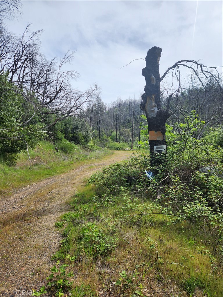 1977 Big Ridge Road Berry Creek, CA 95916 - Photo 4 of 14