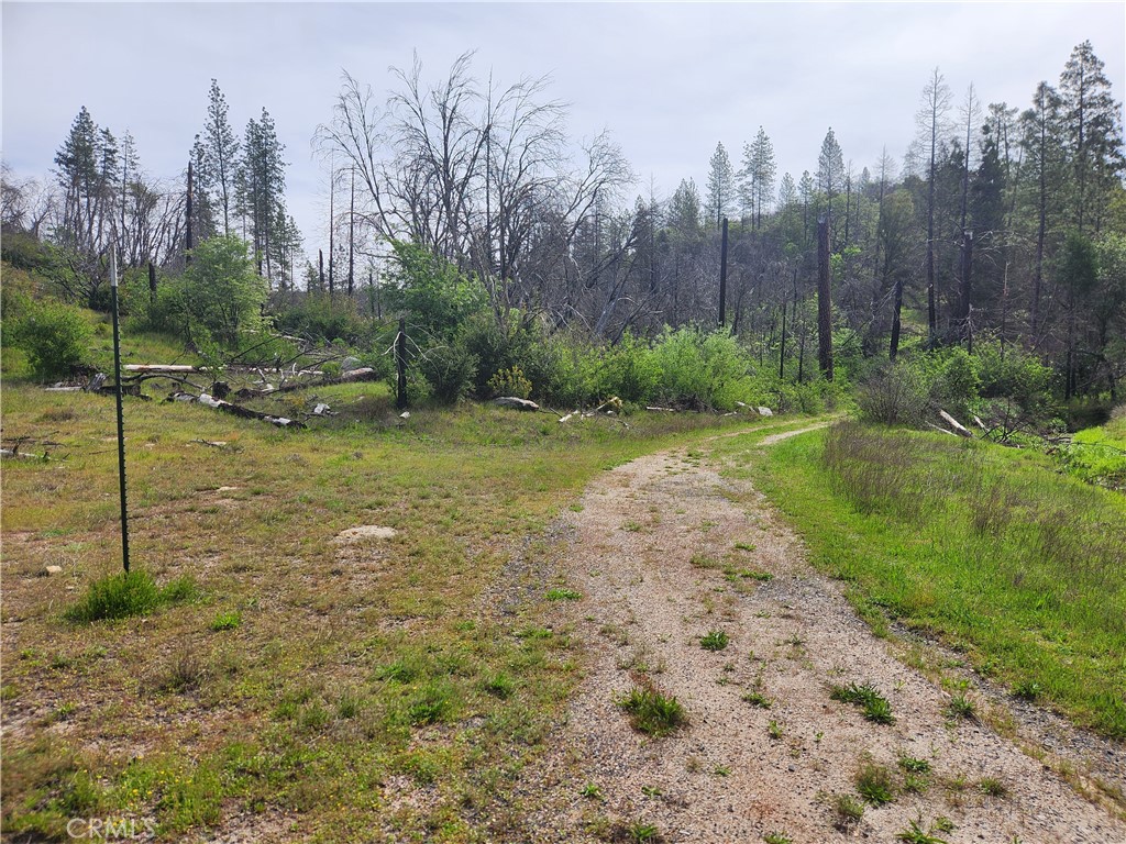 1977 Big Ridge Road Berry Creek, CA 95916 - Photo 5 of 14