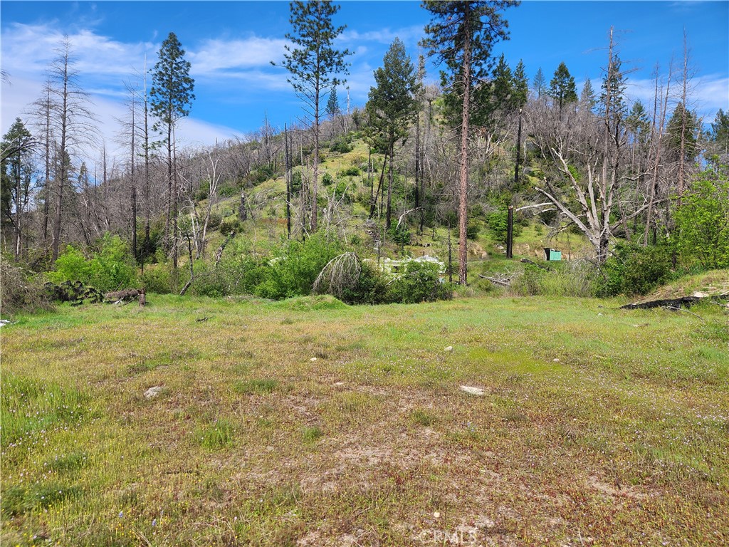 1977 Big Ridge Road Berry Creek, CA 95916 - Photo 6 of 14