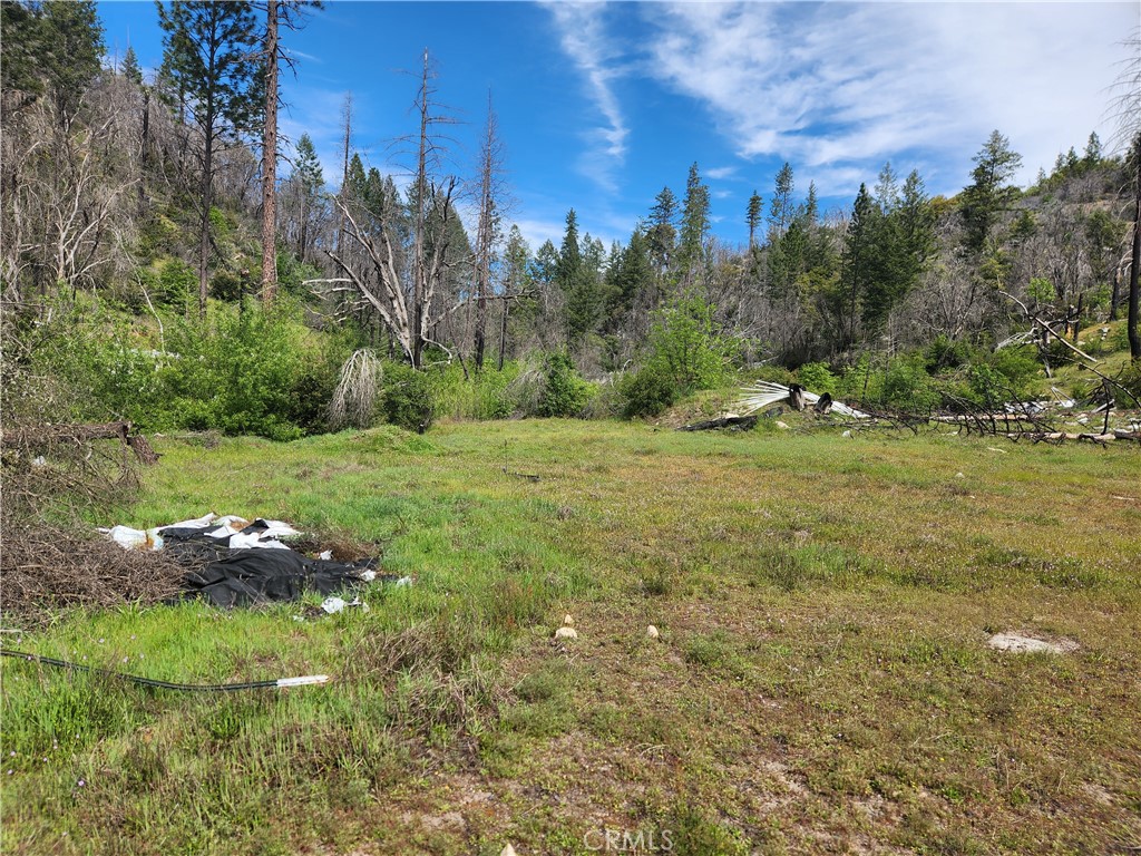 1977 Big Ridge Road Berry Creek, CA 95916 - Photo 7 of 14