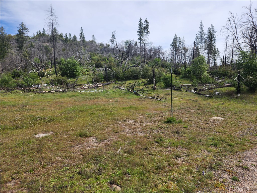 1977 Big Ridge Road Berry Creek, CA 95916 - Photo 8 of 14