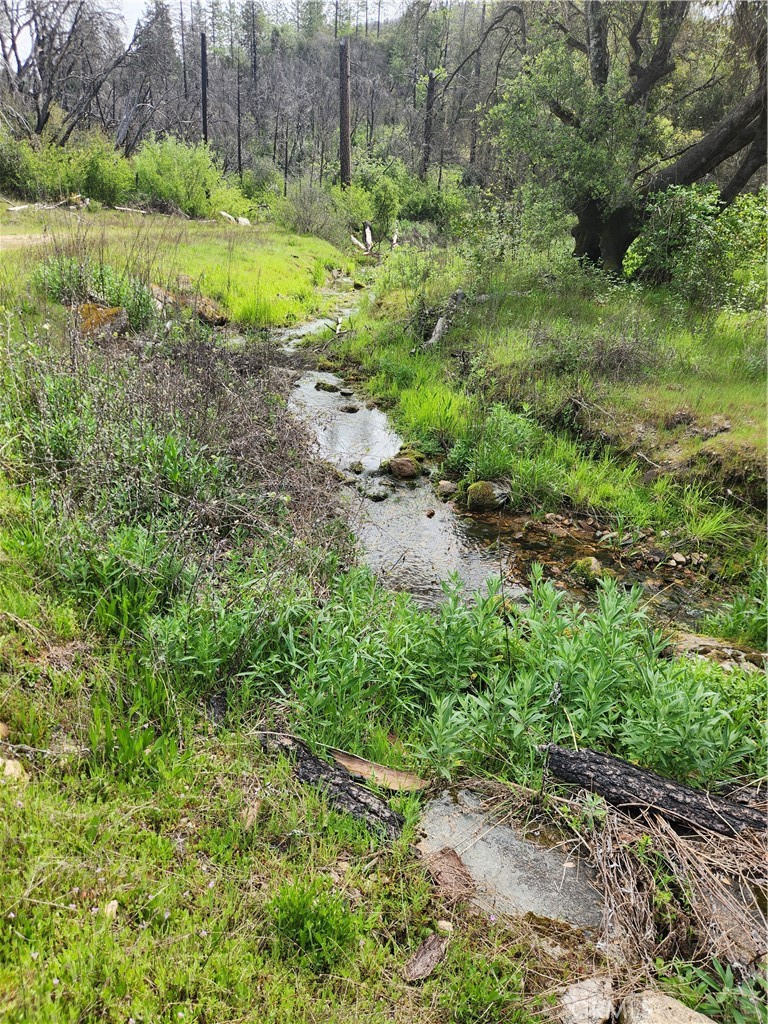 1977 Big Ridge Road Berry Creek, CA 95916 - Photo 9 of 14