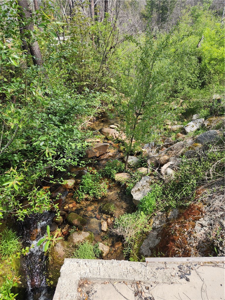 1977 Big Ridge Road Berry Creek, CA 95916 - Photo 10 of 14 a view of a garden with a tree