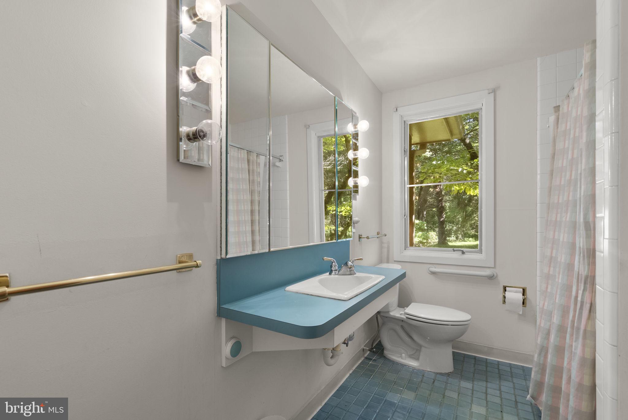 4376 Rte 97 Avenue Brookeville, MD 20833 - Photo 27 of 70 Full Bathroom