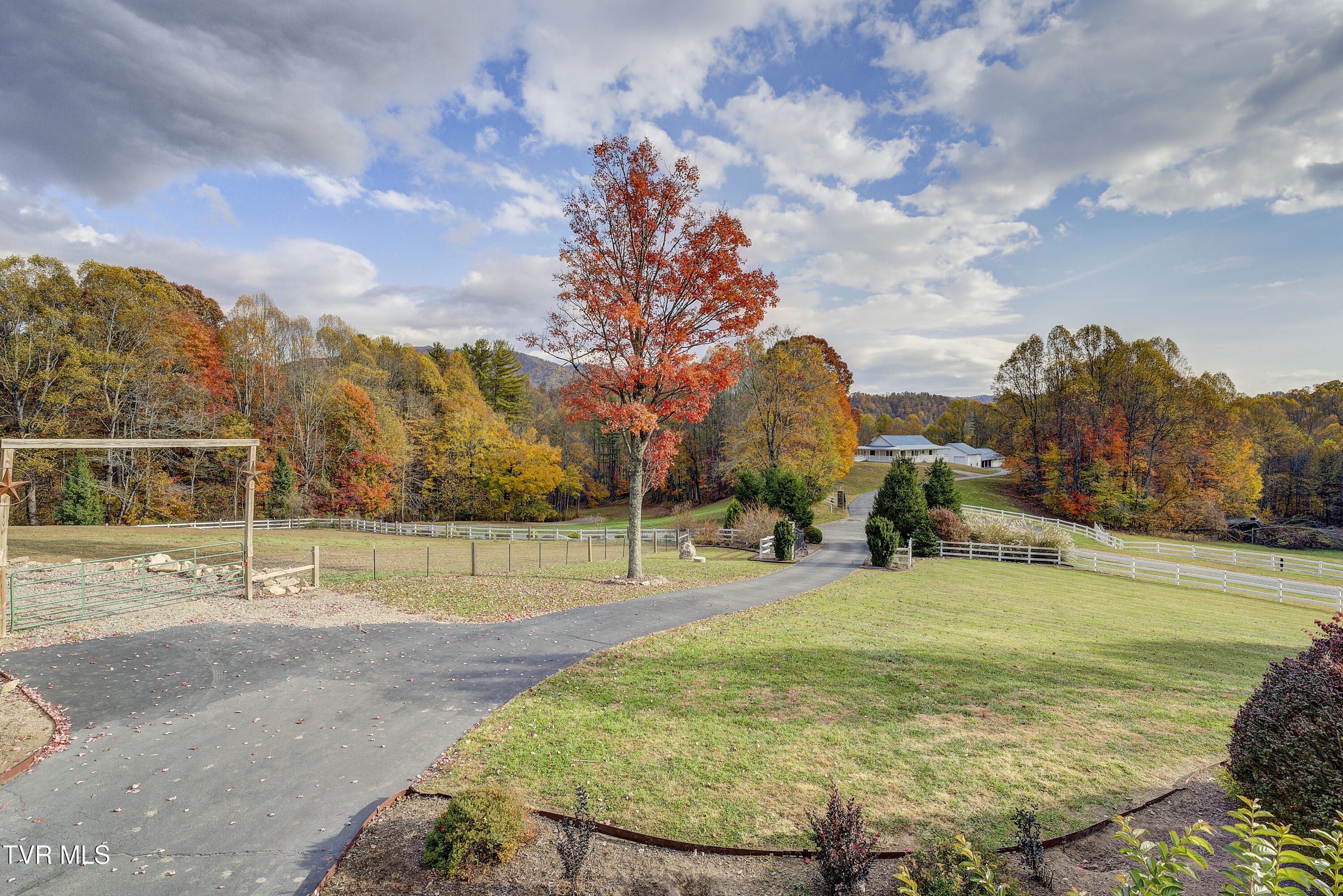 1008 Holly Meadow Road Mountain City, TN 37683 - Photo 103 of 121 HollyMeadow-57