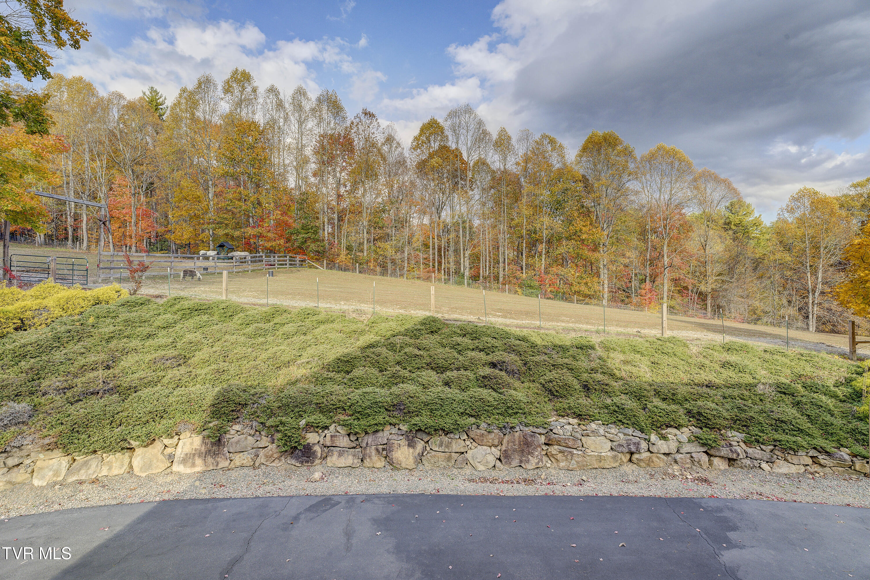 1008 Holly Meadow Road Mountain City, TN 37683 - Photo 104 of 121 HollyMeadow-58